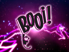 Booi Booi