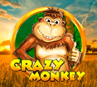 Crazy Monkey Crazy Monkey