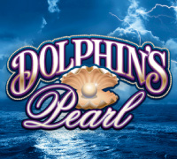 Dolphins Pearl Dolphins Pearl