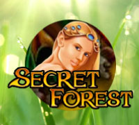 Secret Forest Secret Forest