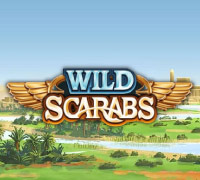 Wild Scarabs Wild Scarabs